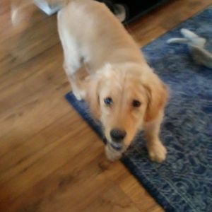 Meet your Posher, D jay